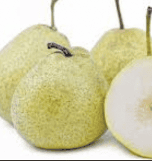 Pa Li Asian Pear - NEW!!!